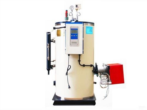 Spa uchun 0,5T gaz bilan ishlaydigan bug 'generatori